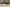 20260111-116684