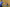 20260111-116431