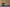20260111-116447